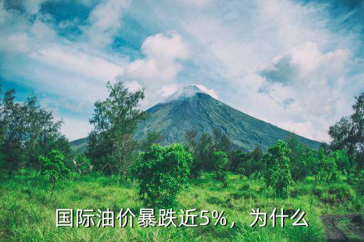 國(guó)際油價(jià)暴跌近5%，為什么