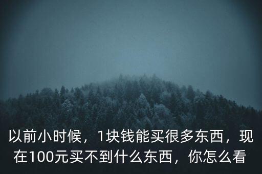 以前小時候，1塊錢能買很多東西，現(xiàn)在100元買不到什么東西，你怎么看