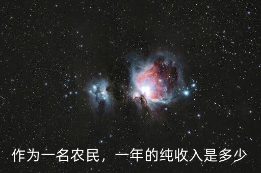作為一名農(nóng)民，一年的純收入是多少