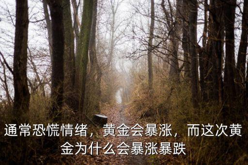 通?？只徘榫w，黃金會(huì)暴漲，而這次黃金為什么會(huì)暴漲暴跌