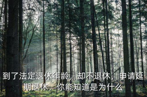 到了法定退休年齡，卻不退休，申請延期退休，你能知道是為什么