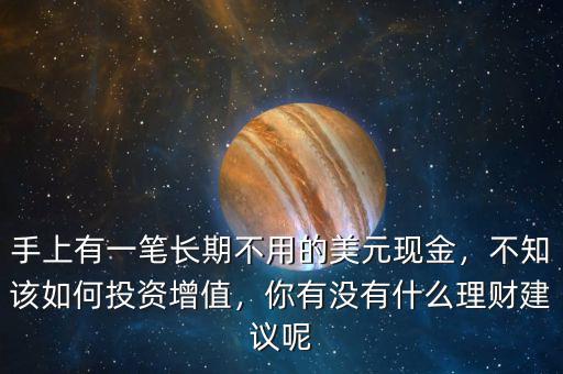 手上有一筆長(zhǎng)期不用的美元現(xiàn)金，不知該如何投資增值，你有沒有什么理財(cái)建議呢