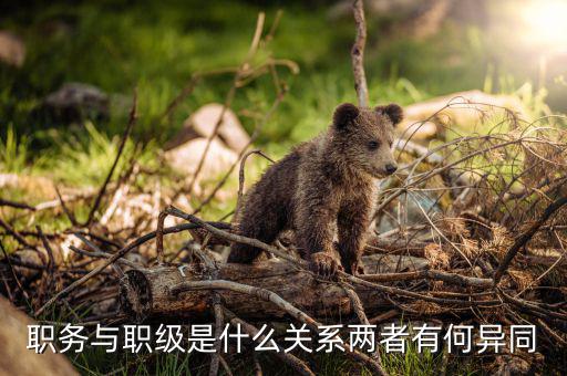 俞靈雨現在什么職務,一級主任科員相當什么職務