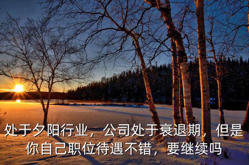 處于夕陽(yáng)行業(yè)，公司處于衰退期，但是你自己職位待遇不錯(cuò)，要繼續(xù)嗎
