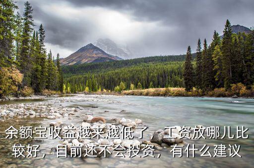 余額寶收益越來(lái)越低了，工資放哪兒比較好，目前還不會(huì)投資，有什么建議