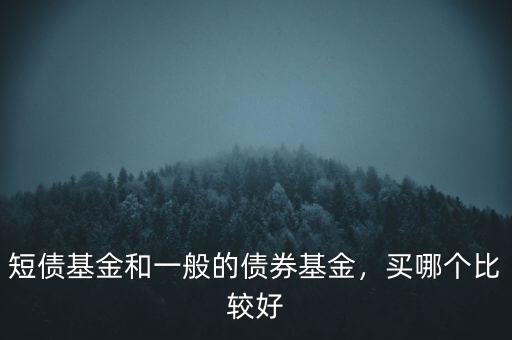 短債基金和一般的債券基金，買哪個(gè)比較好