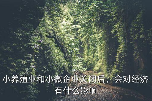 小養(yǎng)殖業(yè)和小微企業(yè)關(guān)閉后，會(huì)對經(jīng)濟(jì)有什么影響