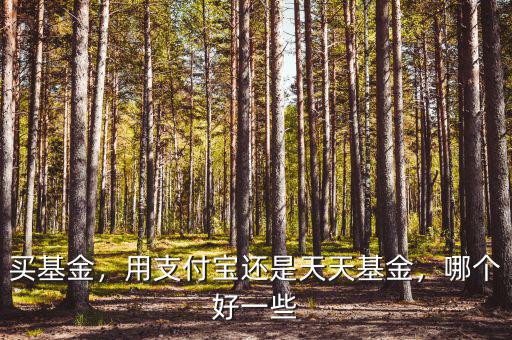 買基金，用支付寶還是天天基金，哪個(gè)好一些