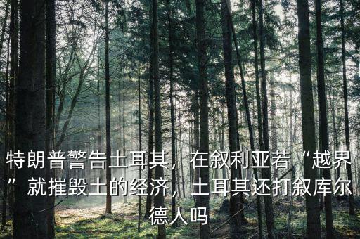 特朗普警告土耳其，在敘利亞若“越界”就摧毀土的經(jīng)濟(jì)，土耳其還打敘庫(kù)爾德人嗎