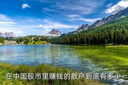 股市散戶平均資金是多少錢(qián),有多少資金才能算得上是大戶