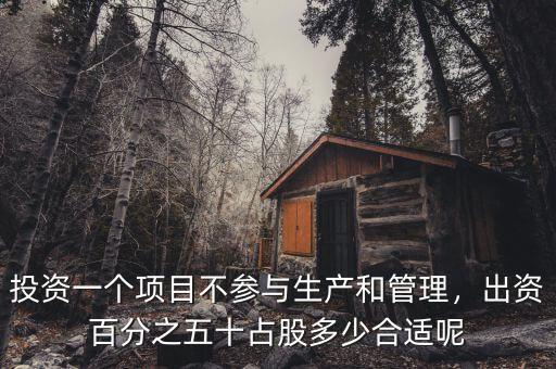 投資一個項(xiàng)目不參與生產(chǎn)和管理，出資百分之五十占股多少合適呢