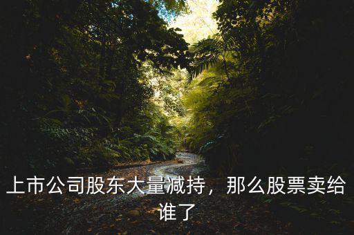 上市公司股東大量減持，那么股票賣給誰了