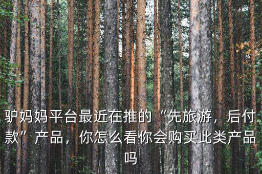 驢媽媽平臺(tái)最近在推的“先旅游，后付款”產(chǎn)品，你怎么看你會(huì)購買此類產(chǎn)品嗎