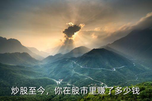 炒股至今，你在股市里賺了多少錢