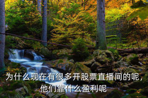 為什么現(xiàn)在有很多開股票直播間的呢，他們靠什么盈利呢