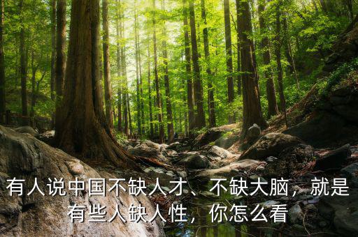 有人說中國不缺人才、不缺大腦，就是有些人缺人性，你怎么看