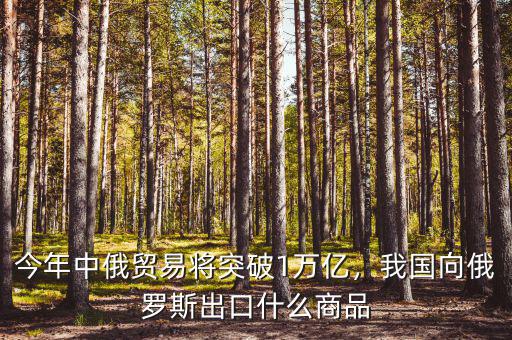 今年中俄貿(mào)易將突破1萬億，我國向俄羅斯出口什么商品