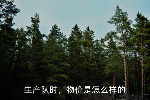 生產(chǎn)隊時，物價是怎么樣的