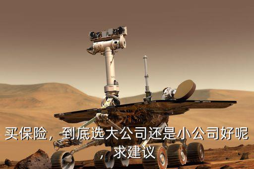 買保險，到底選大公司還是小公司好呢，求建議