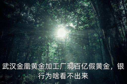 武漢金凰黃金加工廠現(xiàn)百億假黃金，銀行為啥看不出來(lái)
