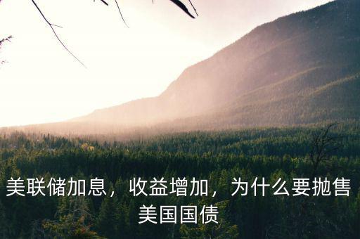 美聯(lián)儲加息，收益增加，為什么要拋售美國國債