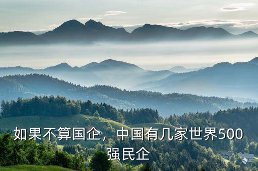 如果不算國企，中國有幾家世界500強民企