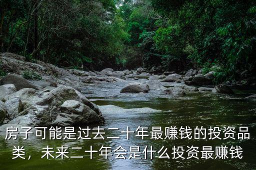 房子可能是過去二十年最賺錢的投資品類，未來二十年會是什么投資最賺錢