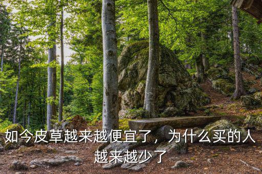 如今皮草越來(lái)越便宜了，為什么買的人越來(lái)越少了