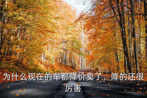 為什么現(xiàn)在的車都降價(jià)賣了，降的還很厲害