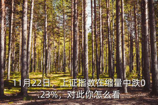 11月22日，上證指數(shù)在縮量中跌0.23%，對(duì)此你怎么看