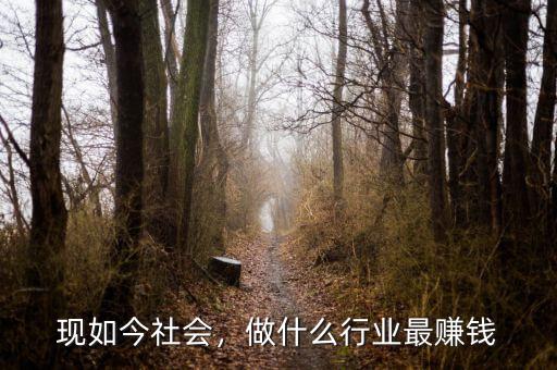 現(xiàn)如今社會，做什么行業(yè)最賺錢