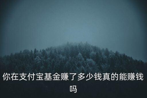 基金能賺多少錢(qián),你在支付寶基金賺了多少錢(qián)