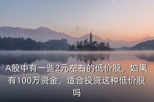 A股中有一些2元左右的低價(jià)股，如果有100萬資金，適合投資這種低價(jià)股嗎
