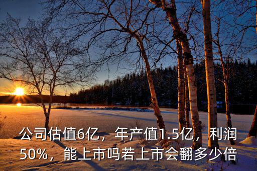 公司估值6億，年產值1.5億，利潤50%，能上市嗎若上市會翻多少倍