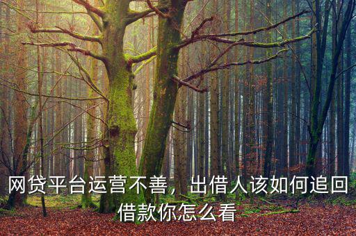 網(wǎng)貸平臺(tái)運(yùn)營(yíng)不善，出借人該如何追回借款你怎么看