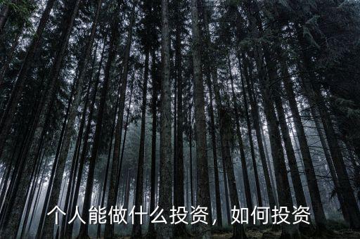 個(gè)人能做什么投資，如何投資