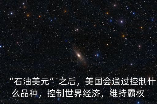 “石油美元”之后，美國會通過控制什么品種，控制世界經(jīng)濟，維持霸權(quán)