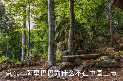 京東、阿里巴巴為什么不在中國(guó)上市