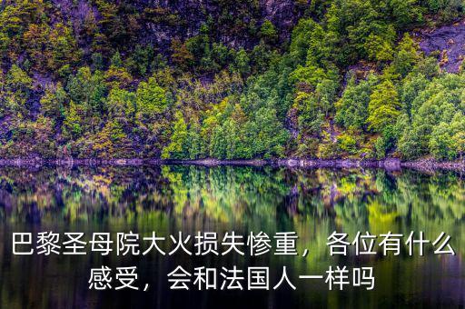 巴黎圣母院大火損失慘重，各位有什么感受，會和法國人一樣嗎
