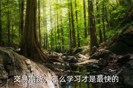 交易期貨，怎么學(xué)習(xí)才是最快的