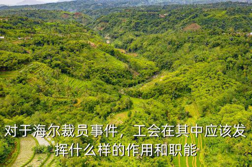 對(duì)于海爾裁員事件，工會(huì)在其中應(yīng)該發(fā)揮什么樣的作用和職能