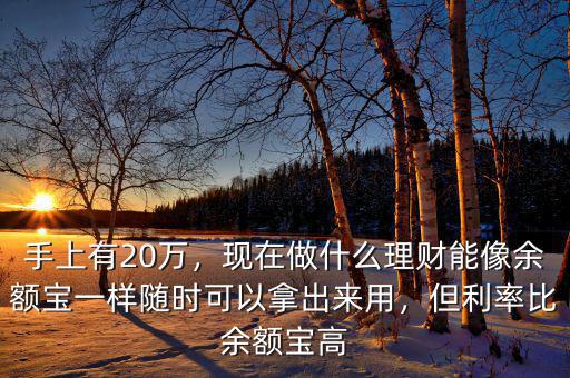 手上有20萬(wàn)，現(xiàn)在做什么理財(cái)能像余額寶一樣隨時(shí)可以拿出來(lái)用，但利率比余額寶高