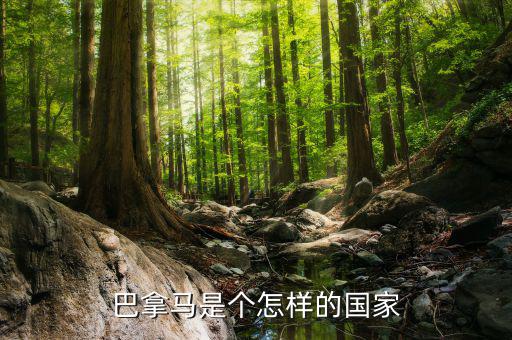 巴拿馬是個(gè)怎樣的國家