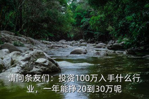 請問條友們：投資100萬入手什么行業(yè)，一年能掙20到30萬呢