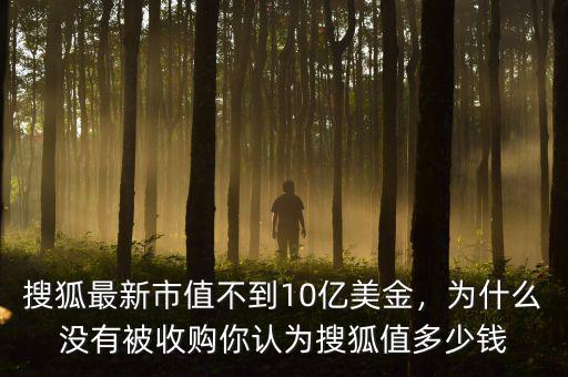搜狐最新市值不到10億美金，為什么沒有被收購你認為搜狐值多少錢