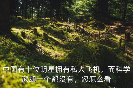 中國有十位明星擁有私人飛機(jī)，而科學(xué)家卻一個(gè)都沒有，您怎么看