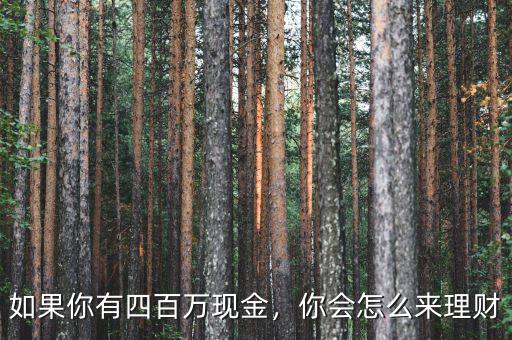 如果你有四百萬現(xiàn)金，你會(huì)怎么來理財(cái)