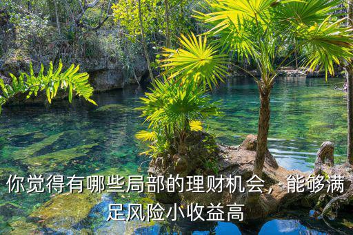 你覺得有哪些局部的理財(cái)機(jī)會，能夠滿足風(fēng)險(xiǎn)小收益高