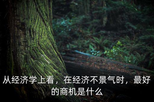 從經(jīng)濟(jì)學(xué)上看，在經(jīng)濟(jì)不景氣時(shí)，最好的商機(jī)是什么