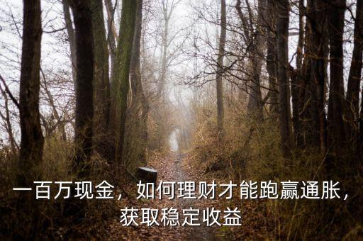 一百萬現(xiàn)金，如何理財才能跑贏通脹，獲取穩(wěn)定收益